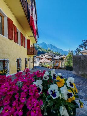 In Cima alla Contrada-Dolomiti & Lake View - Housity