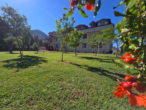 Olive Tree Apart Hotel - Housity