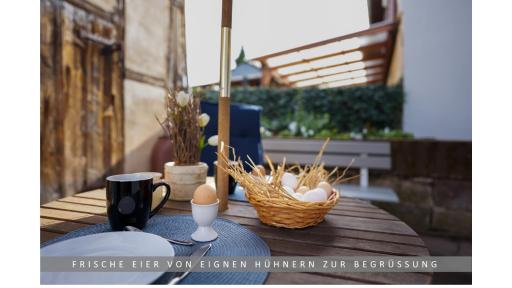 Hund ohne Aufpreis -Apartment Leinetal - Kamin in der Wohnung & Kaminholz kostenlos - Hochwertige Hotelbettwäsche, 7 min zur Seenplatte, privat Parkplatz - 1-3 Personen - Housity