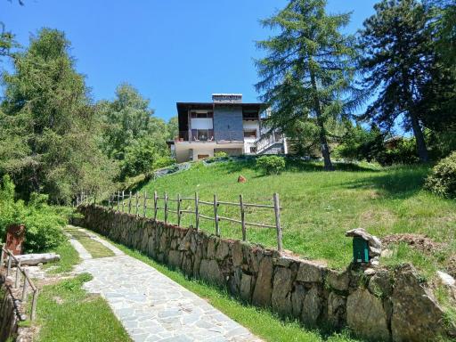 il larice d' oro - Housity