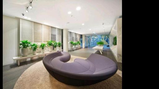 Elm Apartment - Housity