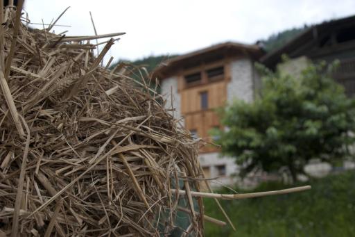 Agricampeggio Ai Gaggi - Housity