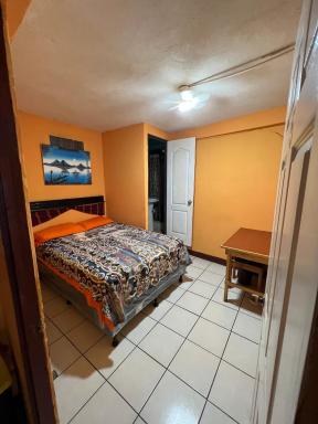 Hostal The Campanario - Housity