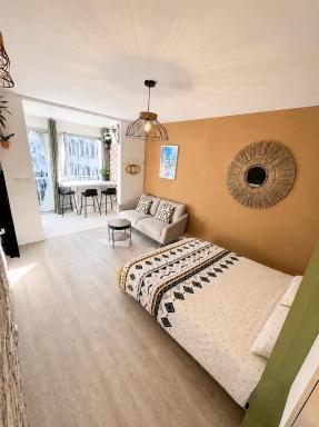 Grand studio cabine 30 m² centre ville, refait à neuf pour vous ! Climatisé - Housity