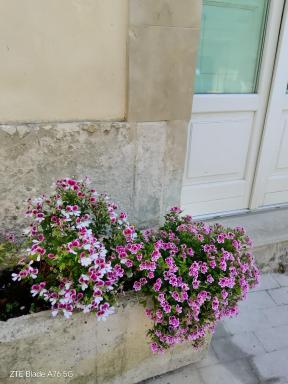 Casa Vacanze A Truatura - Housity