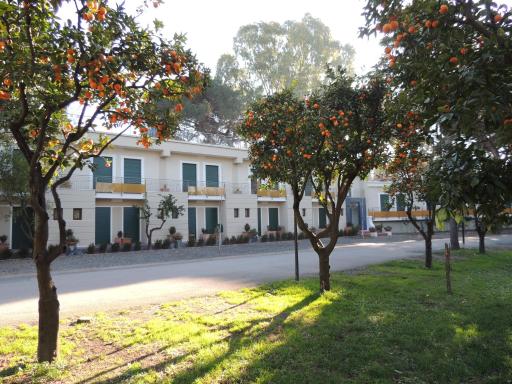 Hotel Zeus - Housity