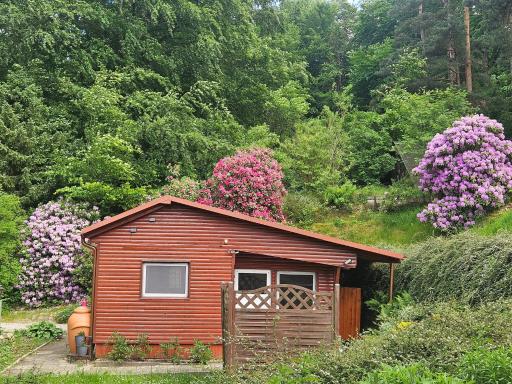 Ferienhaus in Geesthacht-Tesperhude direkt am Waldrand - Housity