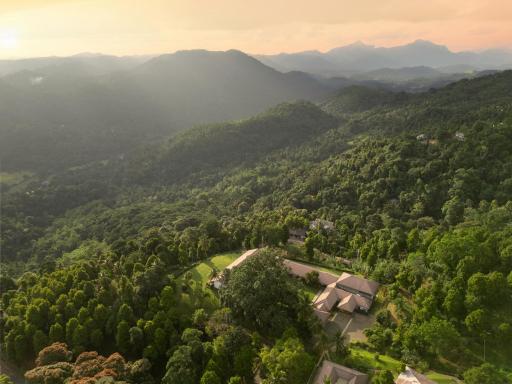 Simpson's Forest - Luxury Boutique Resort & Spa - Kandy - Hizvo
