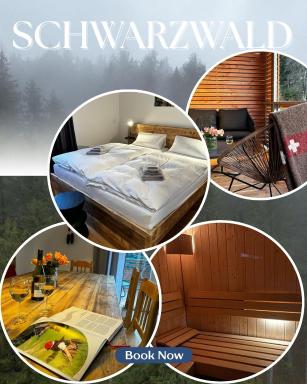 Feldberg Apartment - direkt an der Skipiste - mit Sauna - Housity