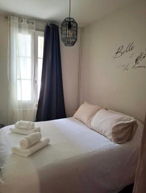 Le Gambetta, Bel appartement lumineux en plein centre-ville à Fourchambault - Housity