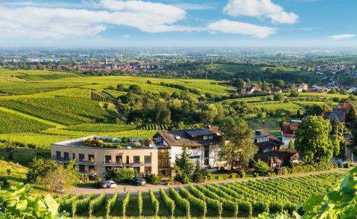 Hotel Rebenhof - Housity