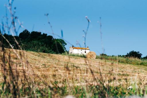 Casa di campagna, pace e natura, sotto la Maiella - Agricasa Caprafico - Housity