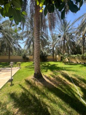 Dar dguech - Housity