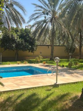 Dar dguech - Housity