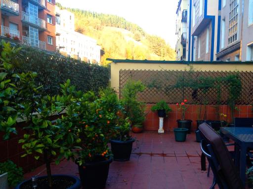 Carmen 7 - Housity