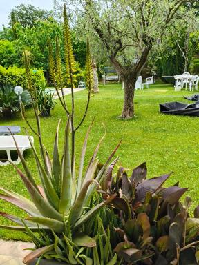 B&B Il Giardino Mediterraneo - Housity