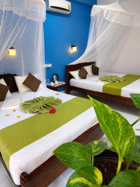 Sigiri Lion Lodge - Housity