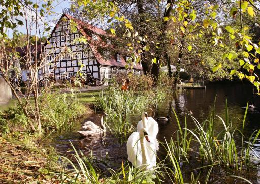 Springbach-Mühle Belzig - Housity