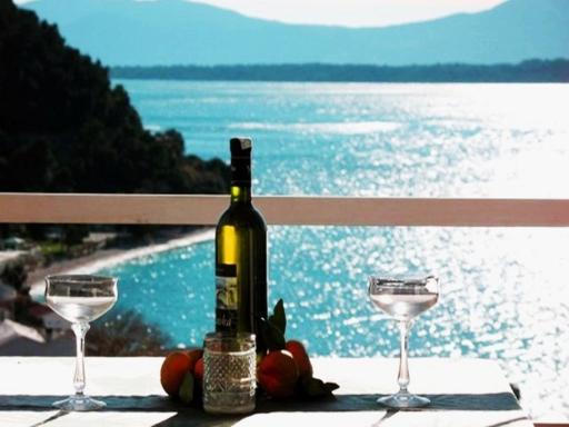 Borovik Guest House - Housity