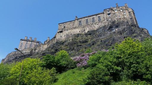 The Wee Thistle - Housity