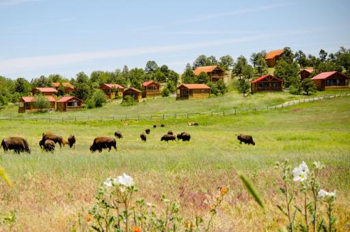Zion Mountain Ranch - Housity