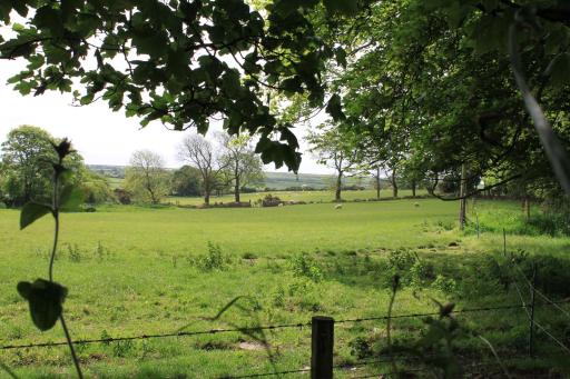Ty Llwyd - Housity