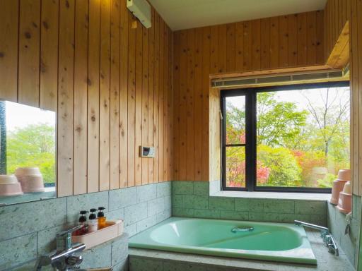 Rigeru - Vacation STAY 11338 - Housity
