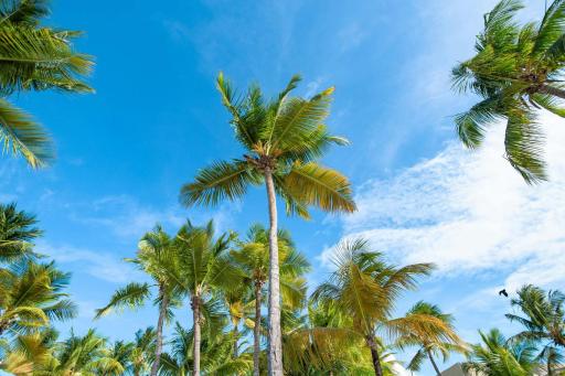 Courtyard by Marriott Isla Verde Beach Resort - Housity