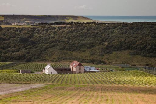 Flint Barns, Rathfinny Wine Estate - Housity