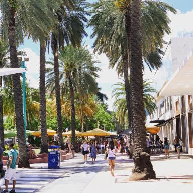 Kimpton Surfcomber Hotel, an IHG Hotel - Housity