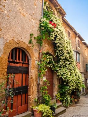 Charming House in Barbarano Romano with Terrace and Fireplace - Housity
