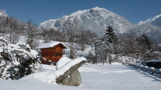 Chamonix petit chalet Cocooning - Housity