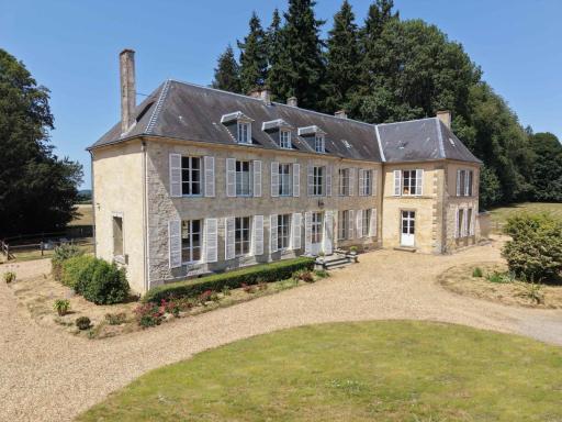 Château élégant avec grand parc, animaux, cheminée, jeux, et tout confort dans le Perche - FR-1-497-102 - Housity