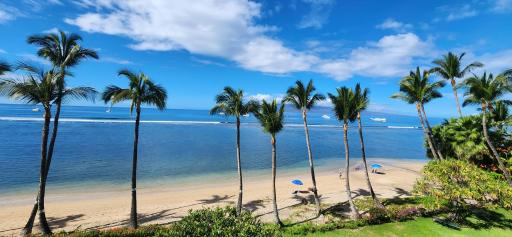 Lahaina Shores Beach Resort - Housity