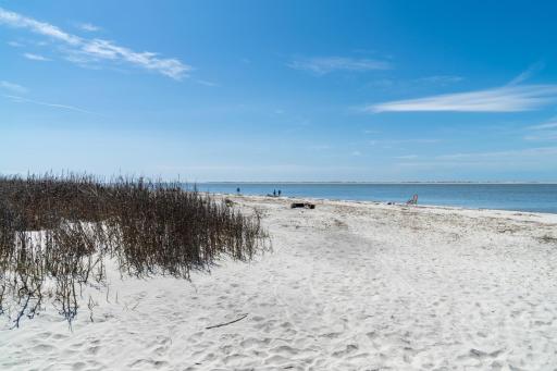 1314 Pelican Watch - Seabrook Island - Beachfront 5 Star Condo - Fido Friendly - Housity