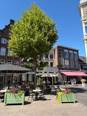 BnB Bruxelles - Studios & Apartments - Housity