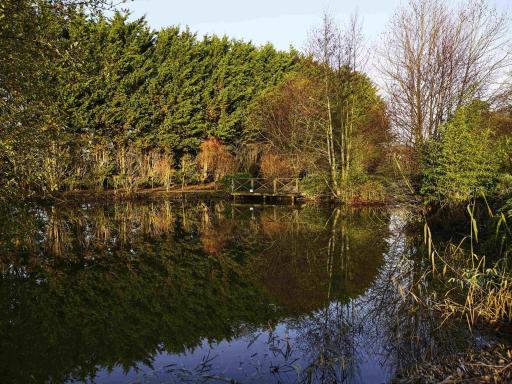 Mercure Newbury West Grange Hotel - Housity