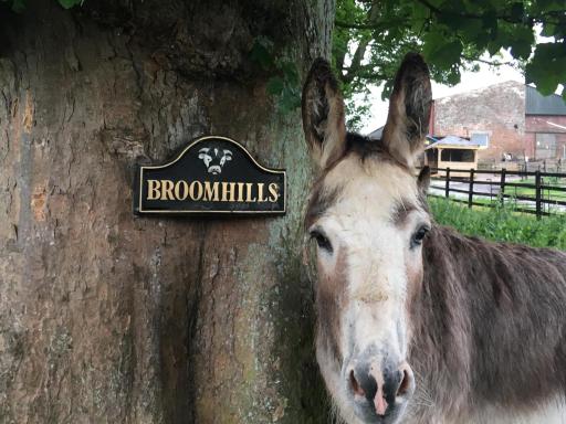 Broomhills Farm River Eco Pods - Housity