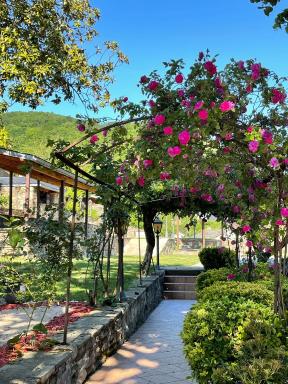 Les Magnolias - Housity