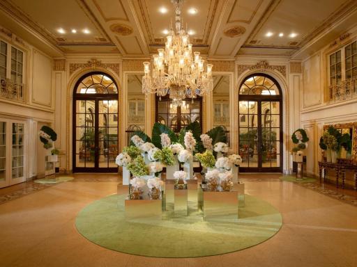 The Plaza - Housity