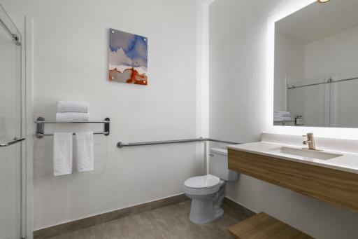 Holiday Inn Express Hotel & Suites Houston-Downtown Convention Center, an IHG Hotel - Housity