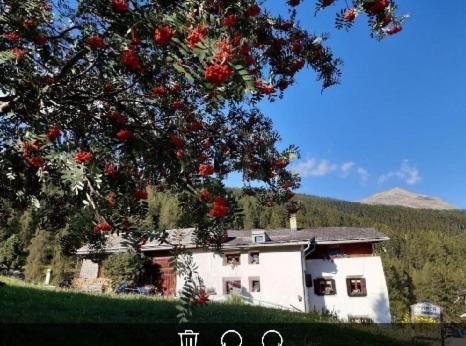 Fuldera Daint chasa Zanoli Whg im zweiten Stock - Housity