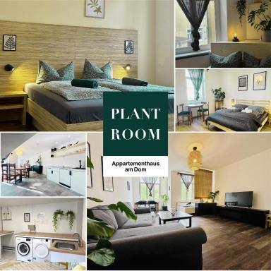 Saale, Marktplatz Zentrum, Apartmenthaus am Dom von Plant Room - Housity