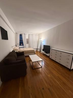 great studio apt new york city - Housity