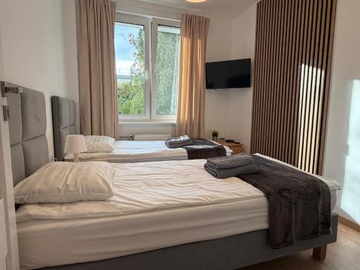 Nest Centrum Konin - Housity