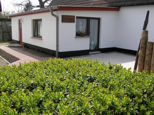 Ferienhaus Born FDZ 181 - Housity