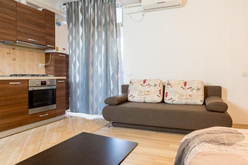 Garsoniere Dinu - Housity