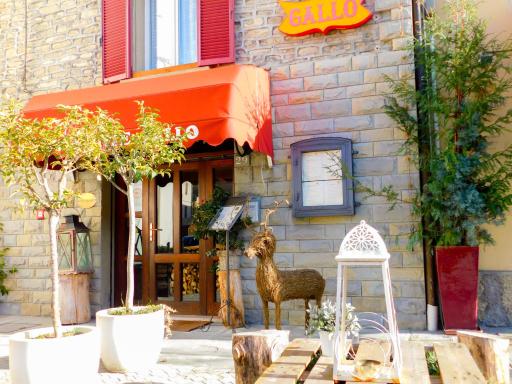 Albergo Ristorante Gallo - Housity