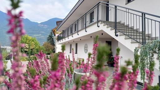 Apartments Curti - Himmelblau - Housity