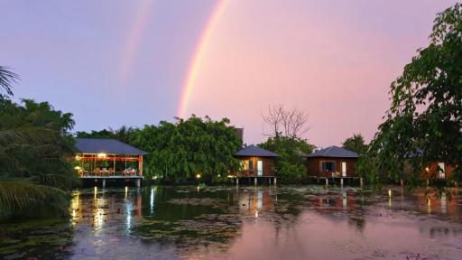 Tuyet's Homestay - Housity